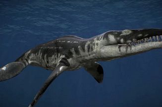 В Курском музее археологии покажут хищников, обитавших в «Курском море» миллионы лет назад